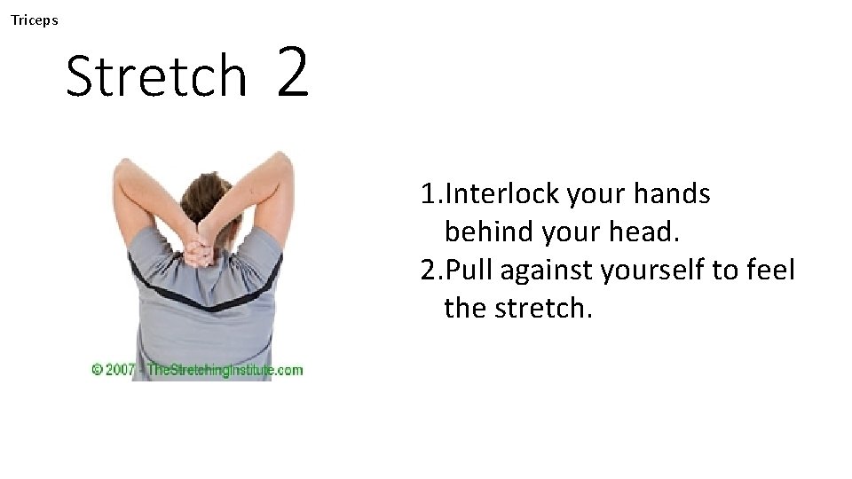 Triceps Stretch 2 1. Interlock your hands behind your head. 2. Pull against yourself