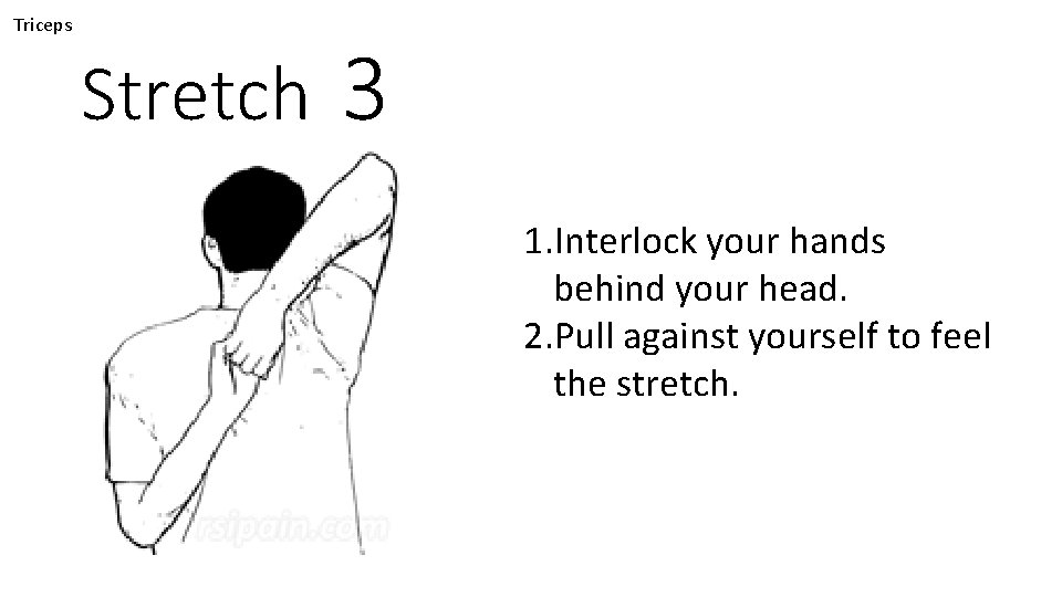 Triceps Stretch 3 1. Interlock your hands behind your head. 2. Pull against yourself
