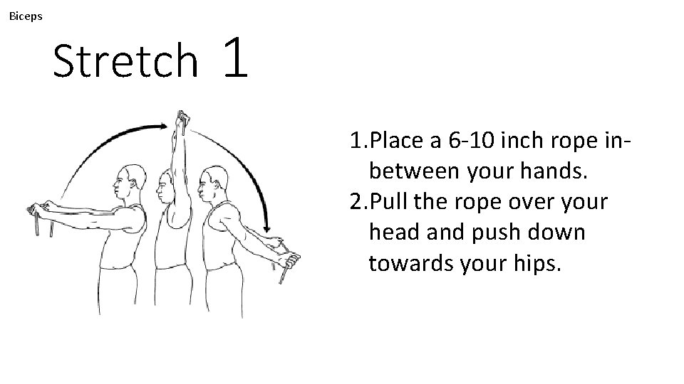 Biceps Stretch 1 1. Place a 6 -10 inch rope inbetween your hands. 2.