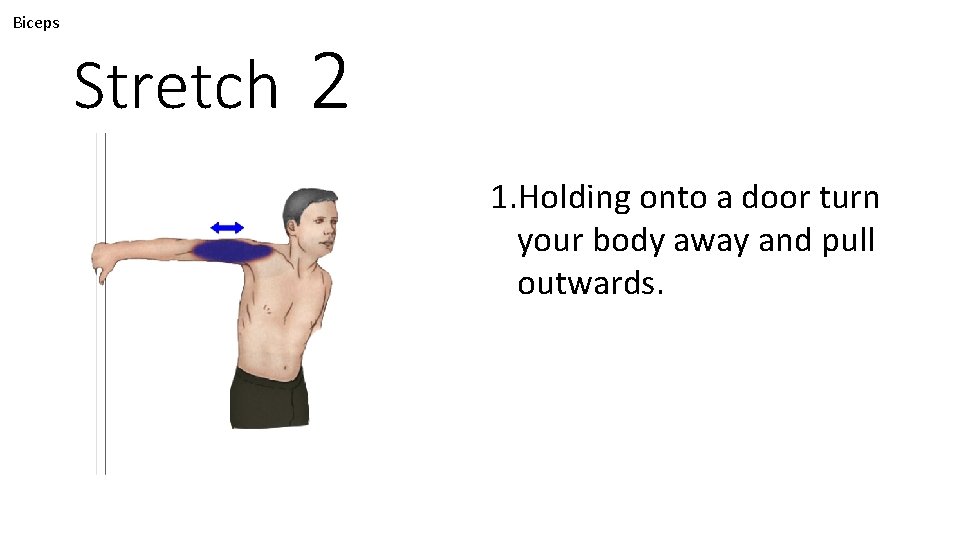 Biceps Stretch 2 1. Holding onto a door turn your body away and pull