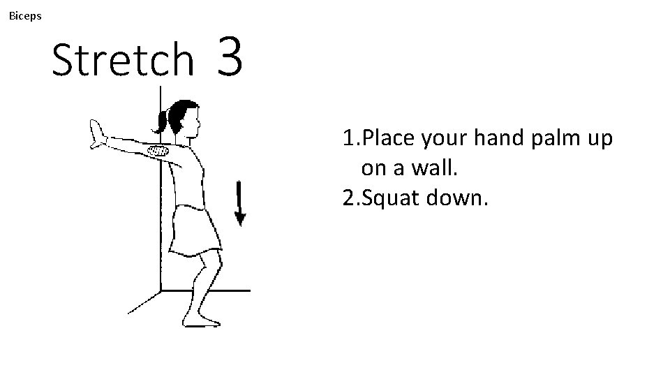 Biceps Stretch 3 1. Place your hand palm up on a wall. 2. Squat