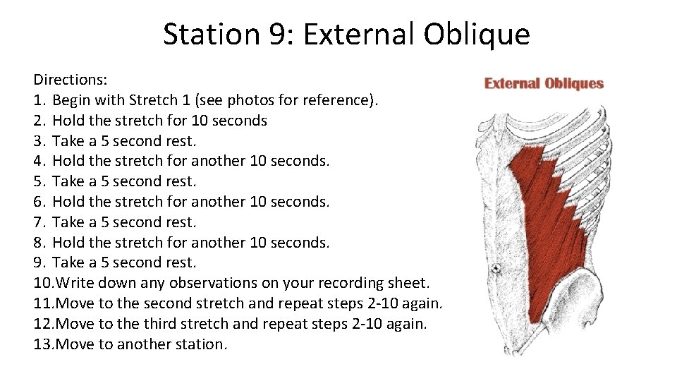 Station 9: External Oblique Directions: 1. Begin with Stretch 1 (see photos for reference).