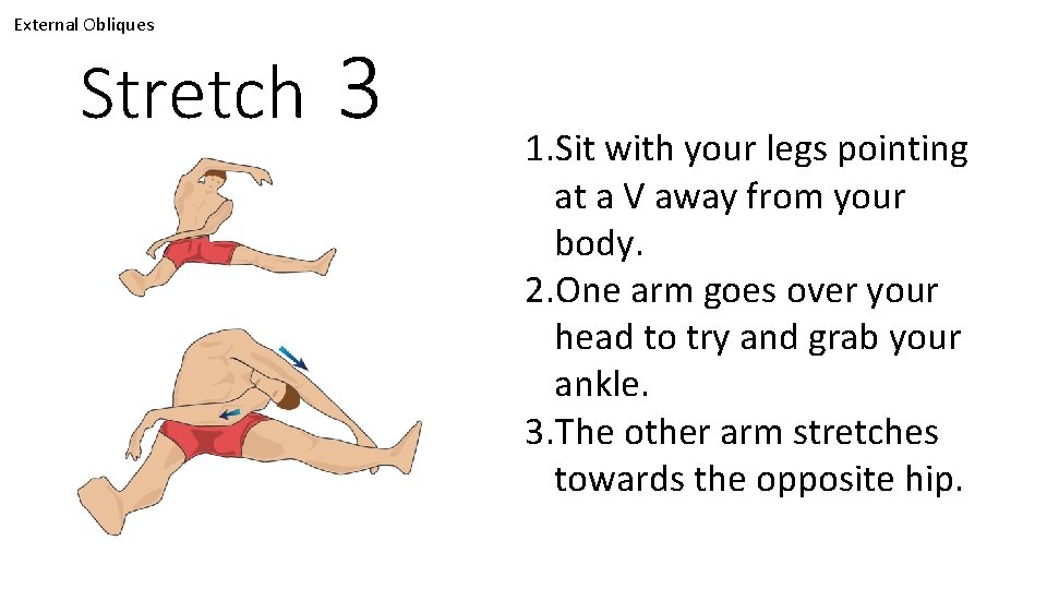 External Obliques Stretch 3 1. Sit with your legs pointing at a V away