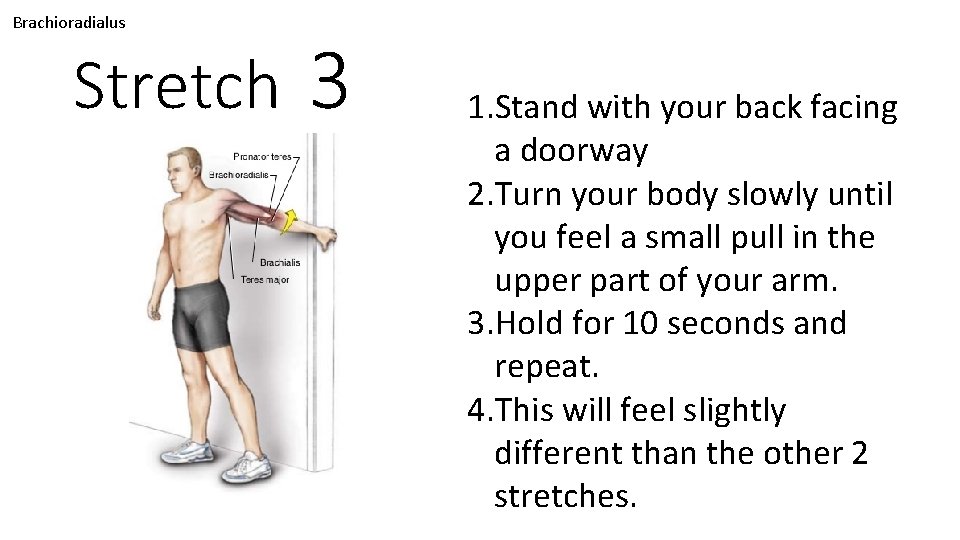 Brachioradialus Stretch 3 1. Stand with your back facing a doorway 2. Turn your