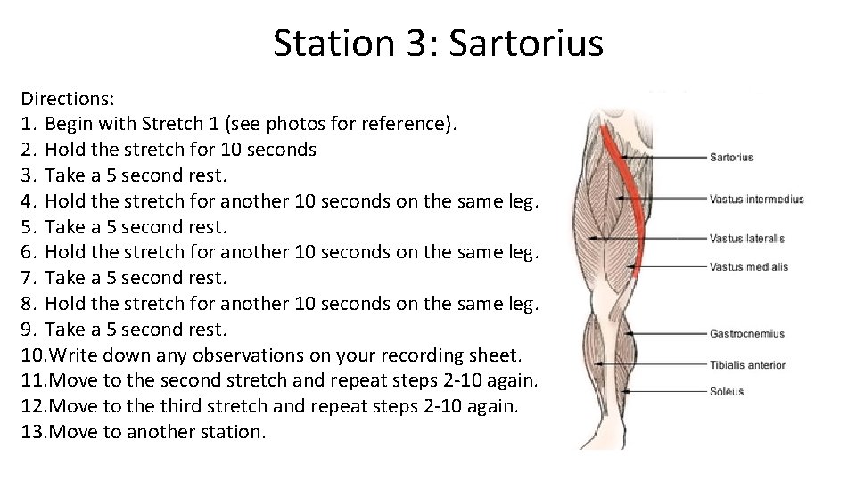 Station 3: Sartorius Directions: 1. Begin with Stretch 1 (see photos for reference). 2.