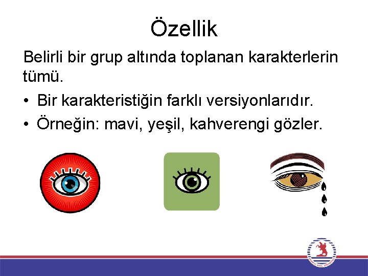 Özellik Belirli bir grup altında toplanan karakterlerin tümü. • Bir karakteristiğin farklı versiyonlarıdır. •