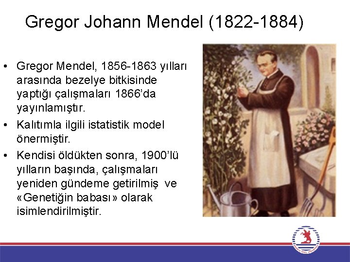 Gregor Johann Mendel (1822 -1884) • Gregor Mendel, 1856 -1863 yılları arasında bezelye bitkisinde