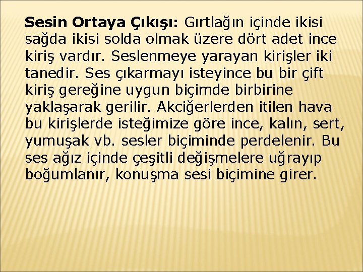 Sesin Ortaya Çıkışı: Gırtlağın içinde ikisi sağda ikisi solda olmak üzere dört adet ince