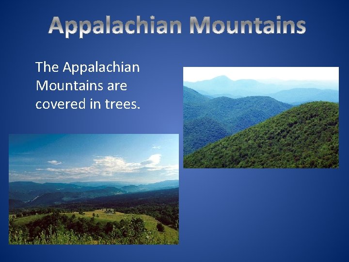 The Appalachian Mountains are covered in trees. 