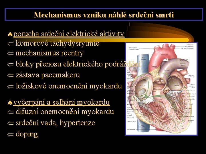 Mechanismus vzniku náhlé srdeční smrti porucha srdeční elektrické aktivity komorové tachydysrytmie mechanismus reentry bloky