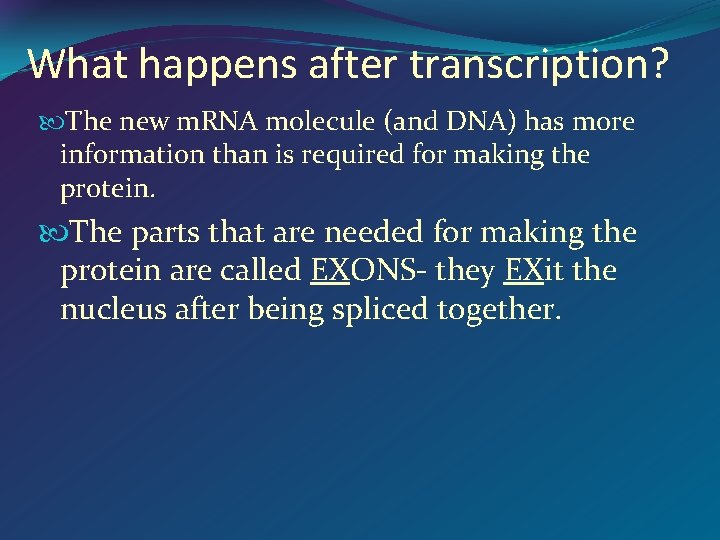 What happens after transcription? The new m. RNA molecule (and DNA) has more information