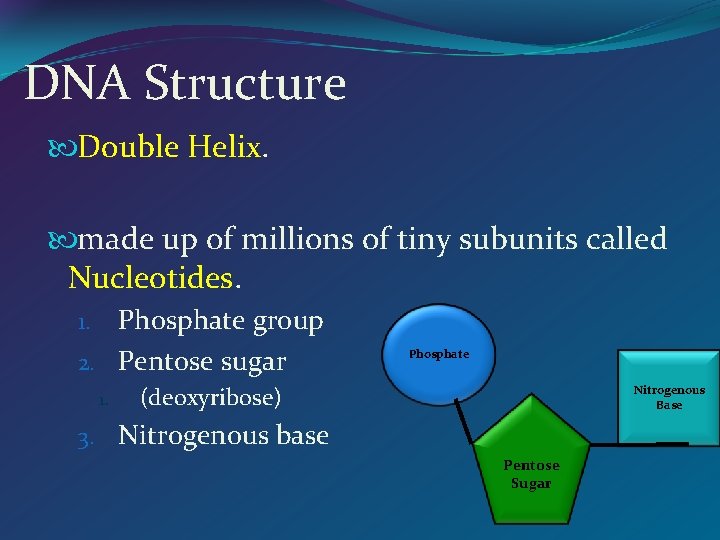 DNA Structure Double Helix. made up of millions of tiny subunits called Nucleotides. Phosphate