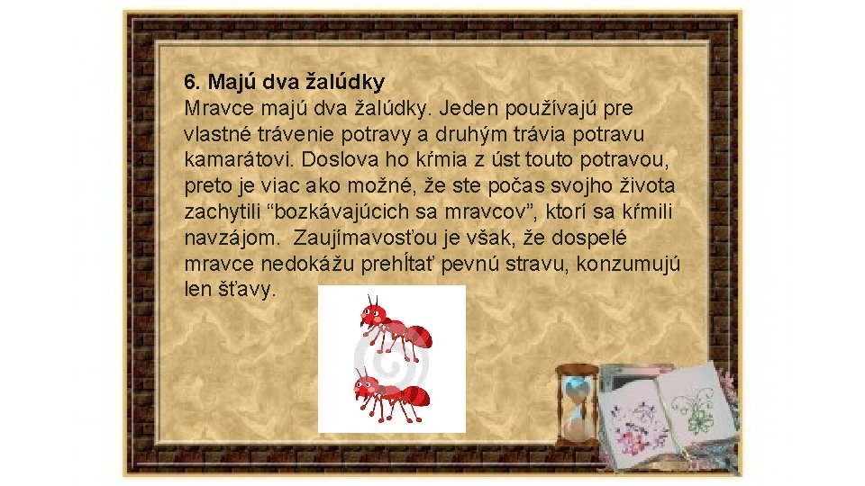 6. Majú dva žalúdky Mravce majú dva žalúdky. Jeden používajú pre vlastné trávenie potravy