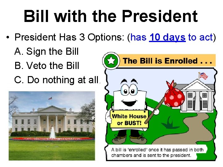 Bill with the President • President Has 3 Options: (has 10 days to act)