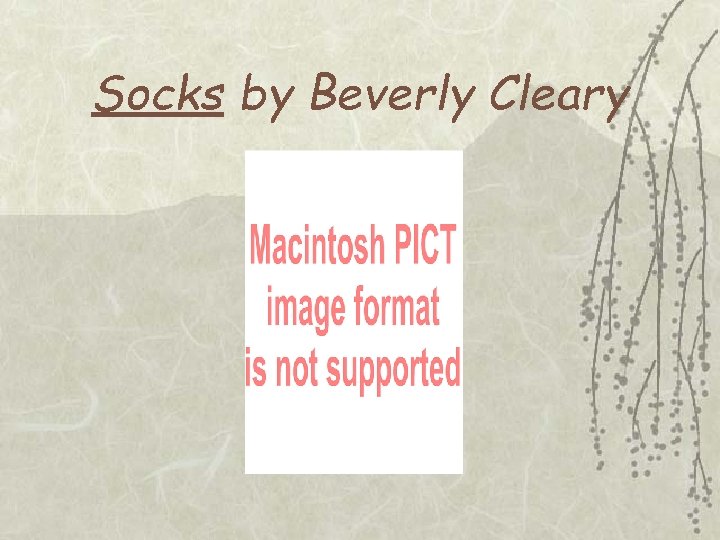 Socks by Beverly Cleary 