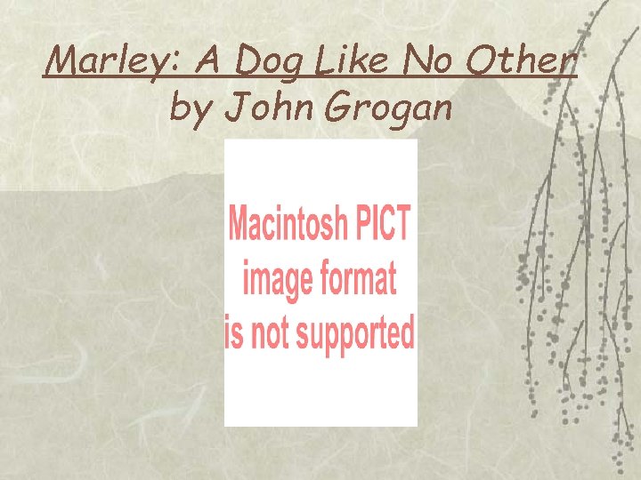 Marley: A Dog Like No Other by John Grogan 