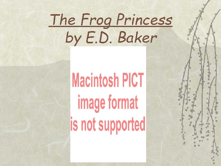 The Frog Princess by E. D. Baker 