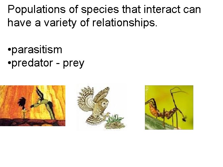 Populations of species that interact can have a variety of relationships. • parasitism •