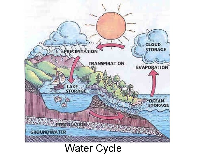 Water Cycle 