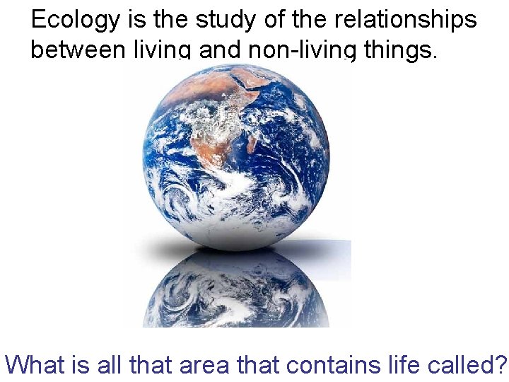 Ecology is the study of the relationships between living and non-living things. What is