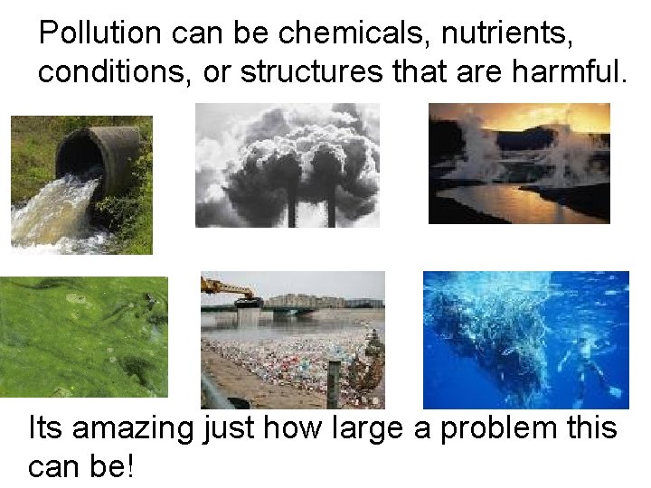 Pollution can be chemicals, nutrients, conditions, or structures that are harmful. Its amazing just