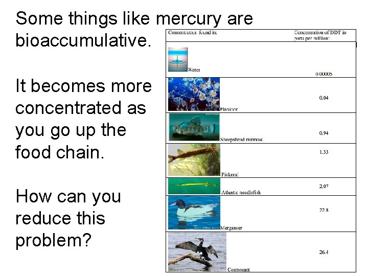 Some things like mercury are bioaccumulative. It becomes more concentrated as you go up