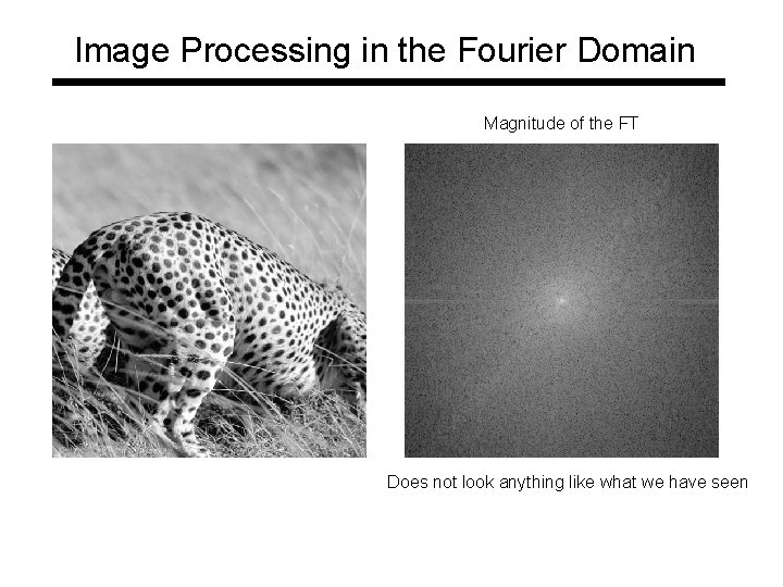 Image Processing in the Fourier Domain Magnitude of the FT Does not look anything