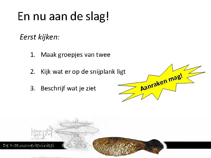 En nu aan de slag! Eerst kijken: 1. Maak groepjes van twee 2. Kijk