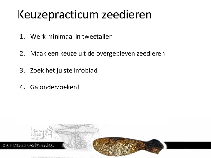 Keuzepracticum zeedieren 1. Werk minimaal in tweetallen 2. Maak een keuze uit de overgebleven