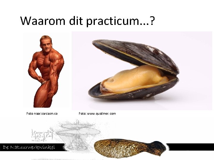 Waarom dit practicum. . . ? Foto naar: sarcasm. co Foto: www. qualimer. com