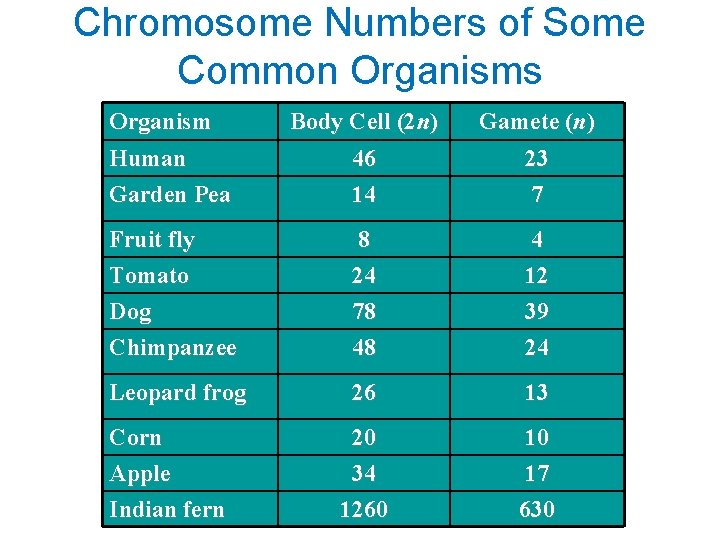 Chromosome Numbers of Some Common Organisms Organism Body Cell (2 n) Gamete (n) Human