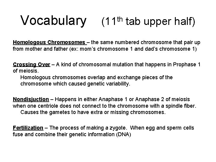 Vocabulary (11 th tab upper half) Homologous Chromosomes – the same numbered chromosome that