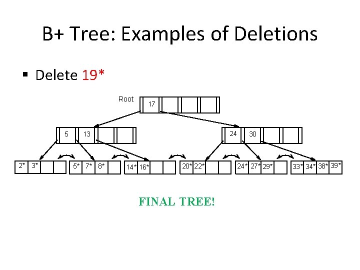 B+ Tree: Examples of Deletions § Delete 19* Root 5 2* 3* 17 24