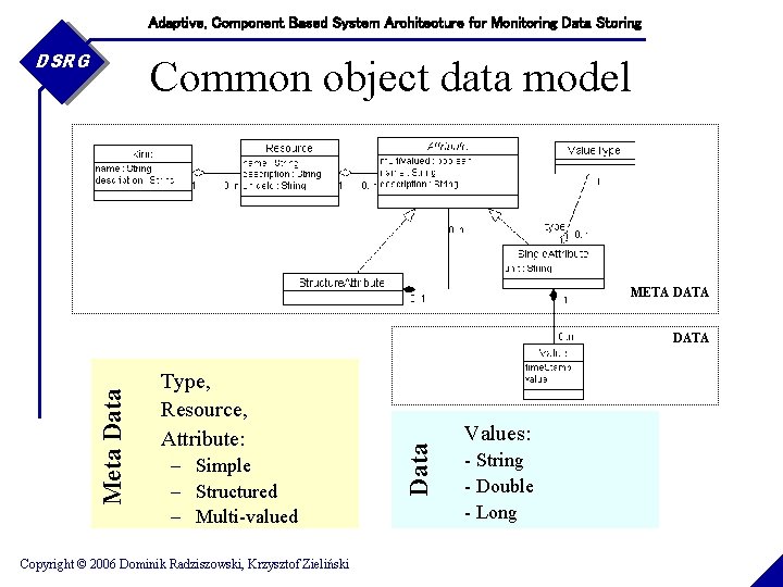 Adaptive, Component Based System Architecture for Monitoring Data Storing DSRG Common object data model