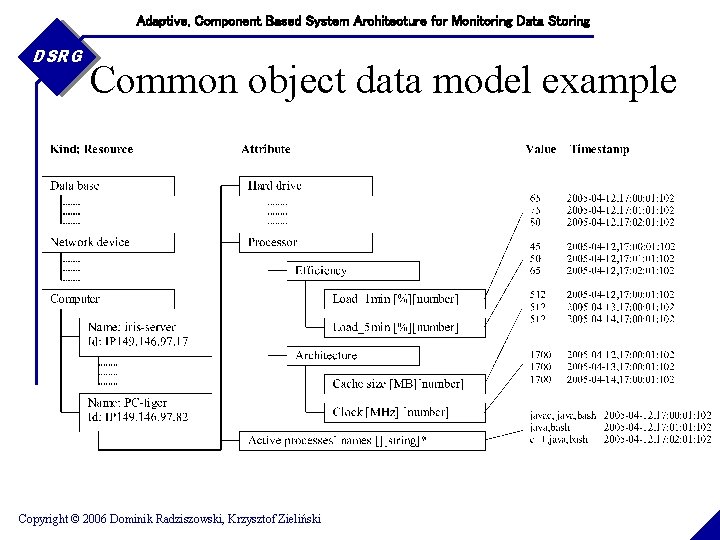 Adaptive, Component Based System Architecture for Monitoring Data Storing DSRG Common object data model