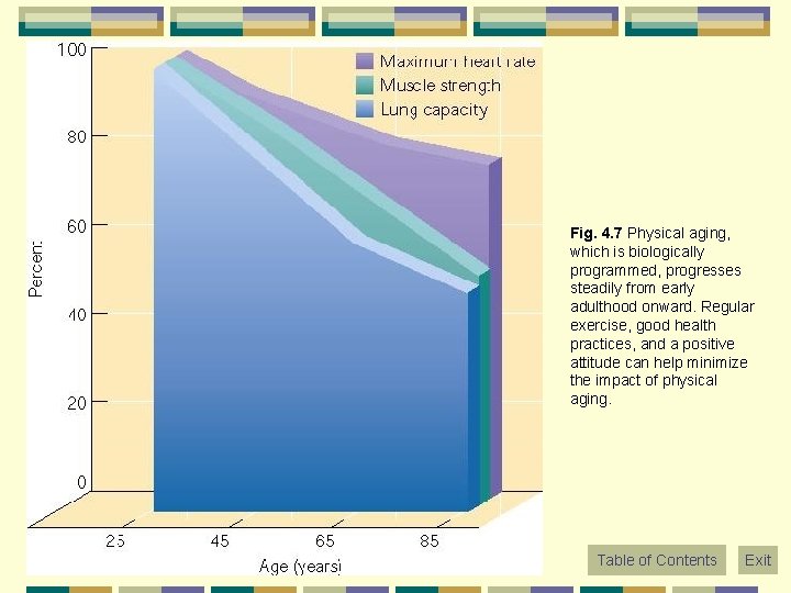 Fig. 4. 7 Physical aging, which is biologically programmed, progresses steadily from early adulthood