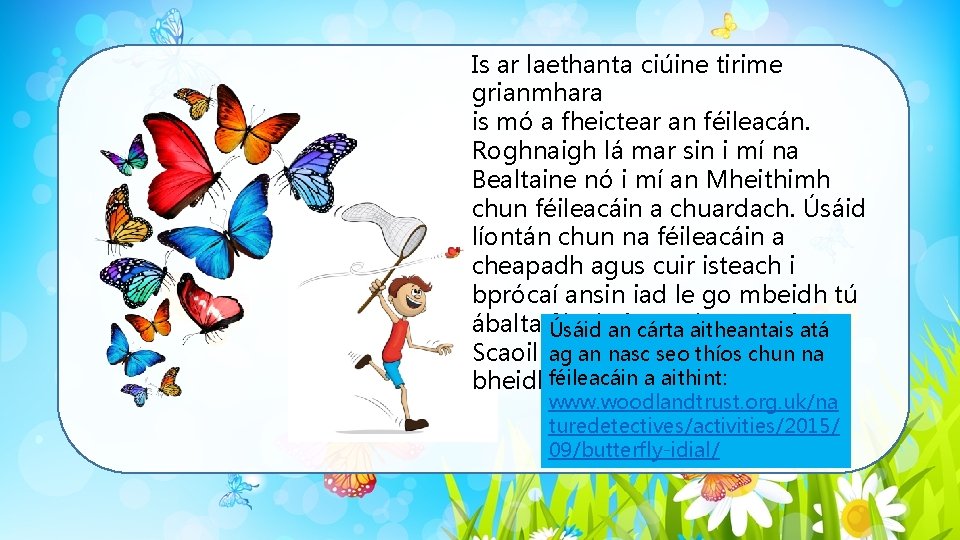 Is ar laethanta ciúine tirime grianmhara is mó a fheictear an féileacán. Roghnaigh lá