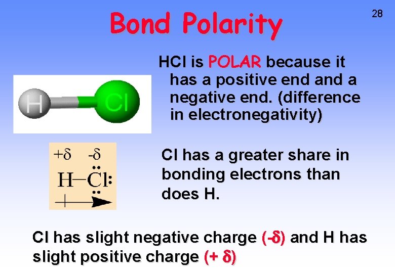 Bond Polarity HCl is POLAR because it has a positive end a negative end.