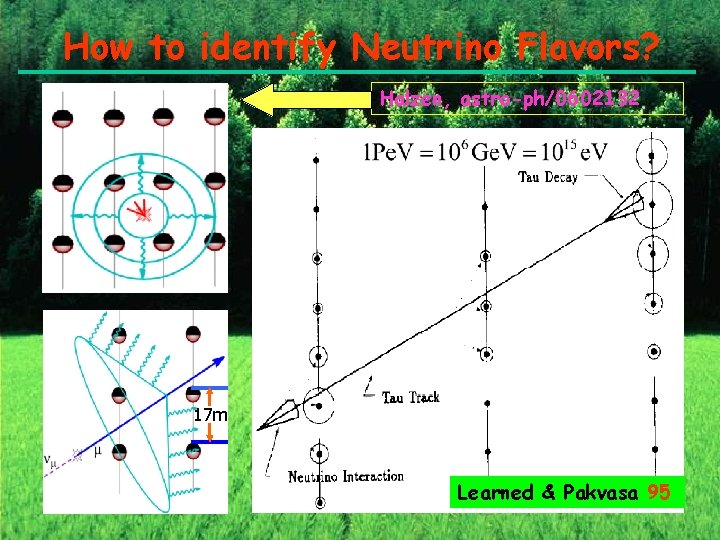 How to identify Neutrino Flavors? Halzen, astro-ph/0602132 17 m Learned & Pakvasa 95 