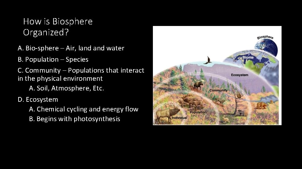 How is Biosphere Organized? A. Bio-sphere – Air, land water B. Population – Species
