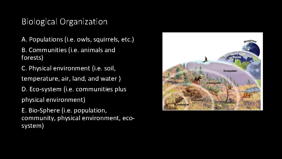Biological Organization A. Populations (i. e. owls, squirrels, etc. ) B. Communities (i. e.