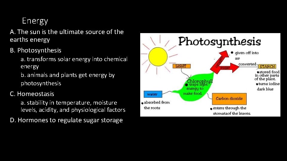 Energy A. The sun is the ultimate source of the earths energy B. Photosynthesis