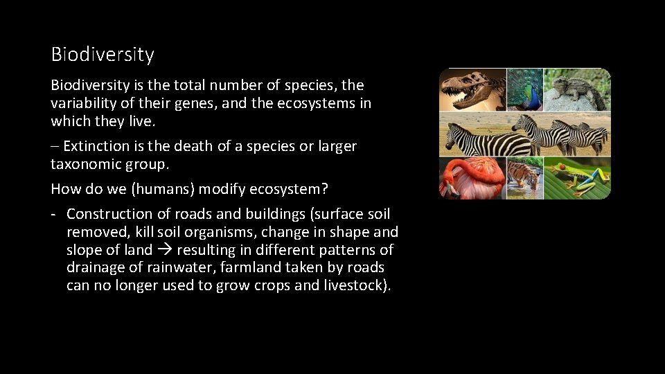 Biodiversity is the total number of species, the variability of their genes, and the