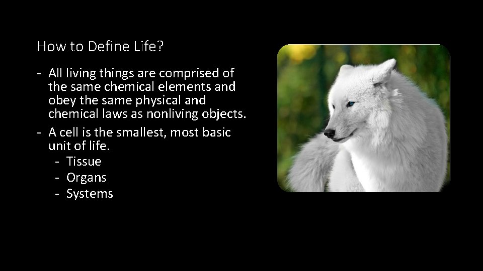 How to Define Life? - All living things are comprised of the same chemical