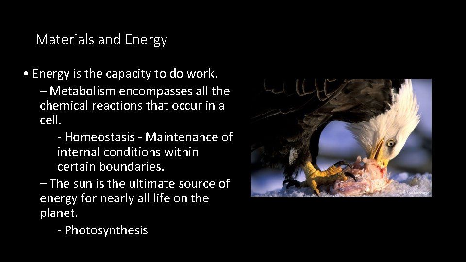 Materials and Energy • Energy is the capacity to do work. – Metabolism encompasses