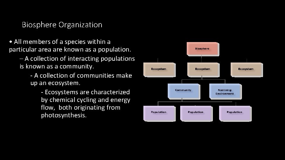 Biosphere Organization • All members of a species within a particular area are known