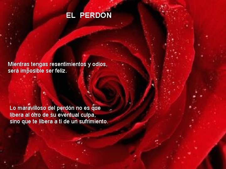 EL PERDON Mientras tengas resentimientos y odios, será imposible ser feliz. Lo maravilloso del