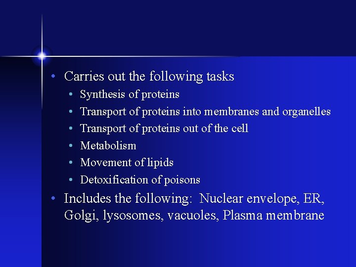  • Carries out the following tasks • • • Synthesis of proteins Transport