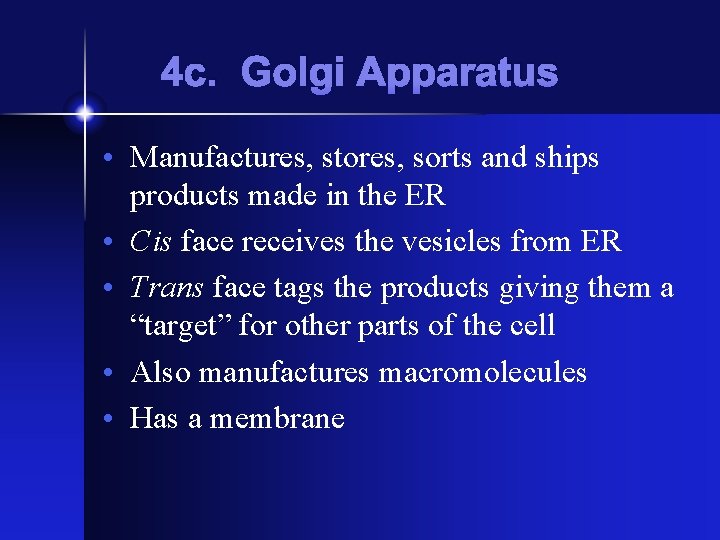 4 c. Golgi Apparatus • Manufactures, stores, sorts and ships products made in the