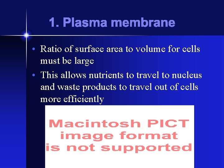 1. Plasma membrane • Ratio of surface area to volume for cells must be